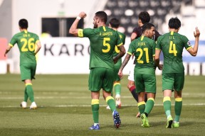 爱游戏体育官网-麝香葡萄之夜在线